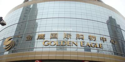金鹰大厦种植屋面防水